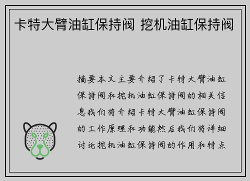 卡特大臂油缸保持阀 挖机油缸保持阀